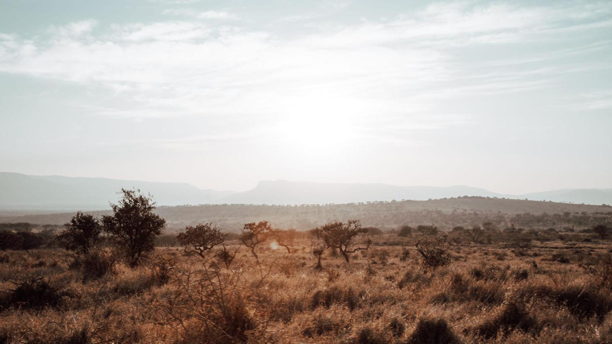 Umkhaya Lodge Mkuze Экстерьер фото