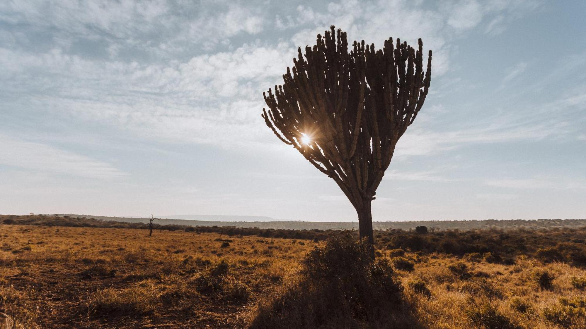 Umkhaya Lodge Mkuze Экстерьер фото